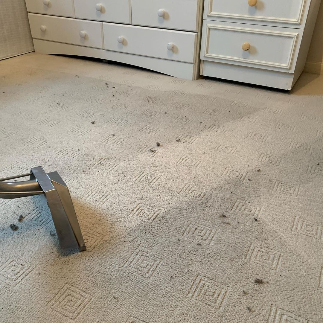 Pro Carpet Cleaning Milton Keynes
